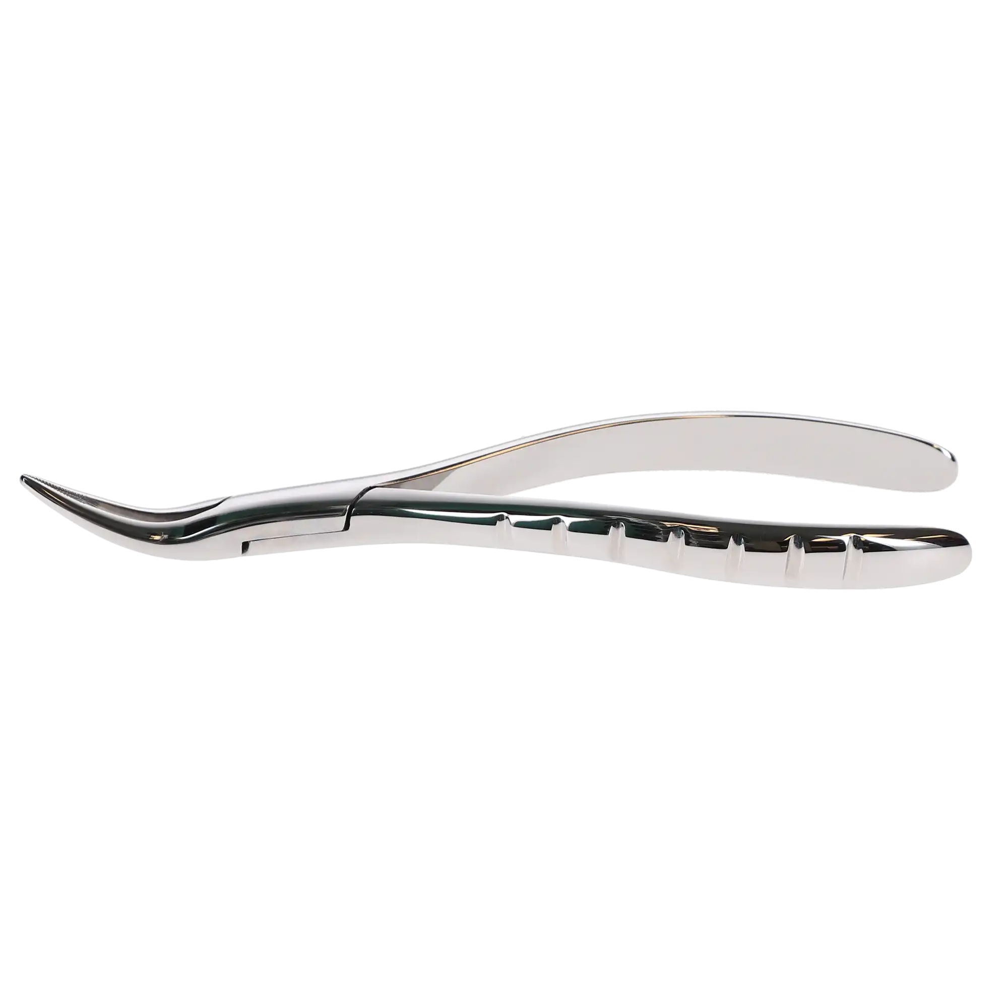 Hu-Friedy Presidential Root Forceps, Serrated, #300, Upper Roots, 1/Pk, F300 thumbnail 2