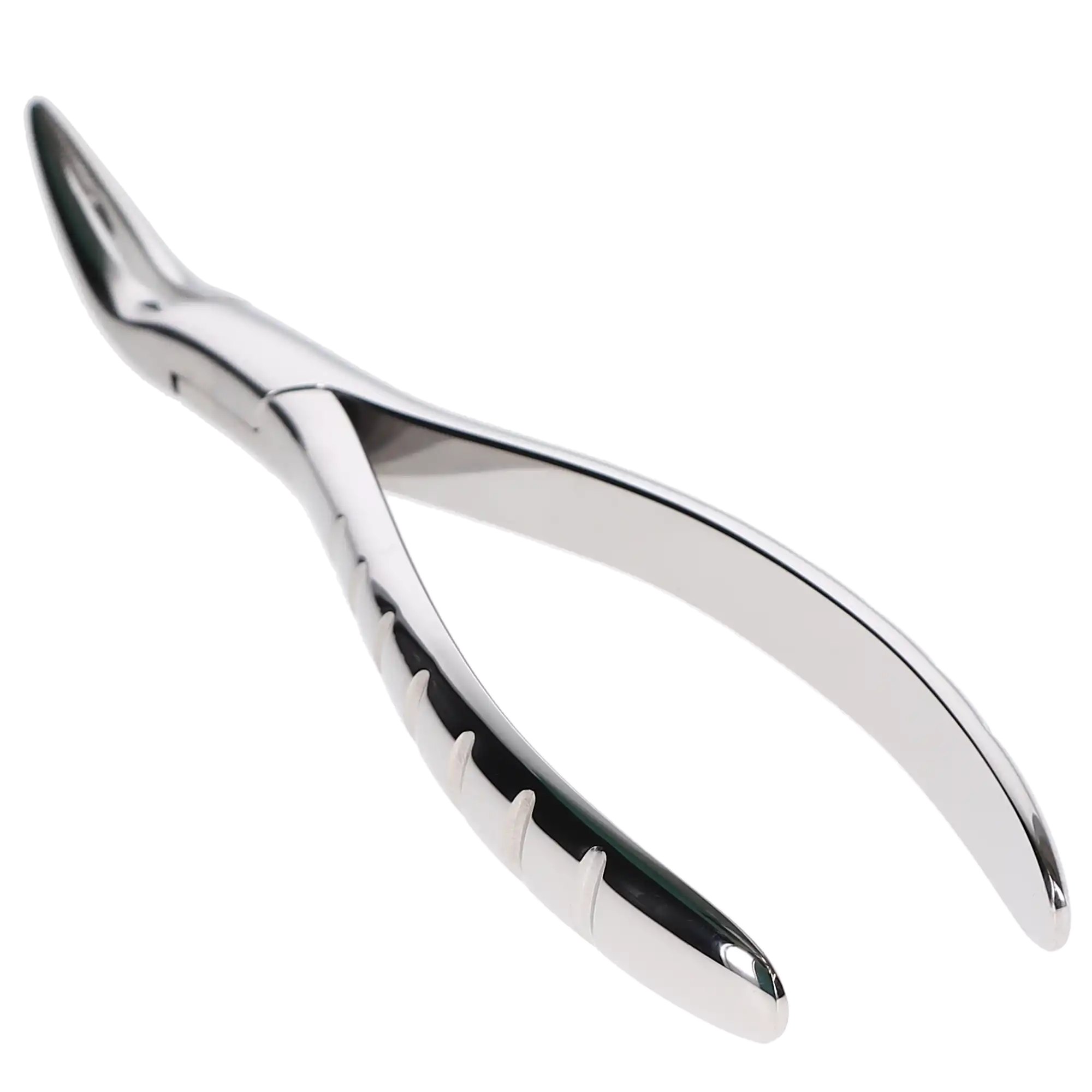 Hu-Friedy Presidential Root Forceps, Serrated, #300, Upper Roots, 1/Pk, F300 thumbnail 4