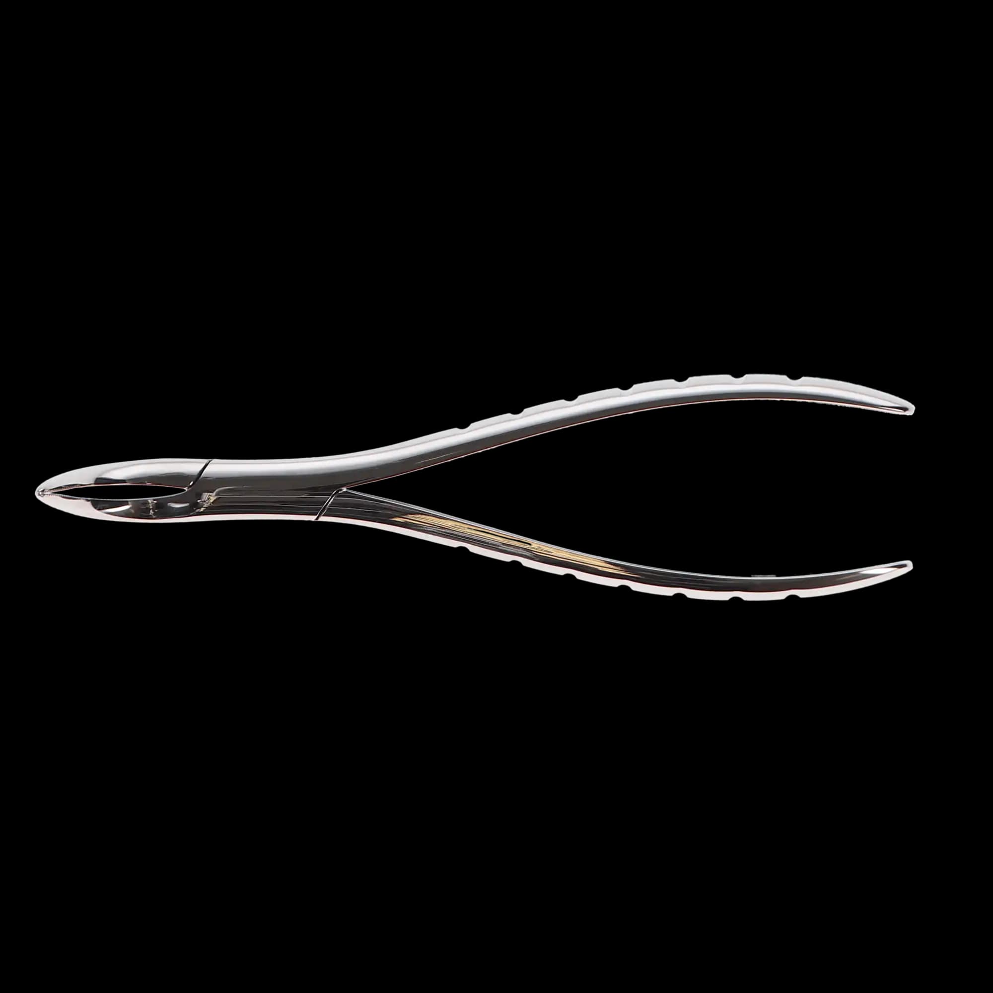 Hu-Friedy Presidential Root Forceps, Serrated, #301, Lower Roots, 1/Pk, F301 thumbnail 6