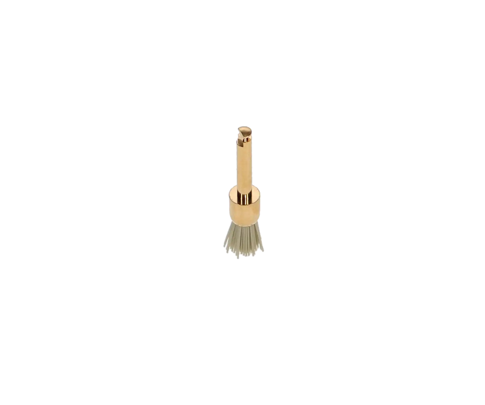 Occlubrush One-Step Polishing Brushes, Small Cup, Refill, 10/Pk, 2511 thumbnail 3