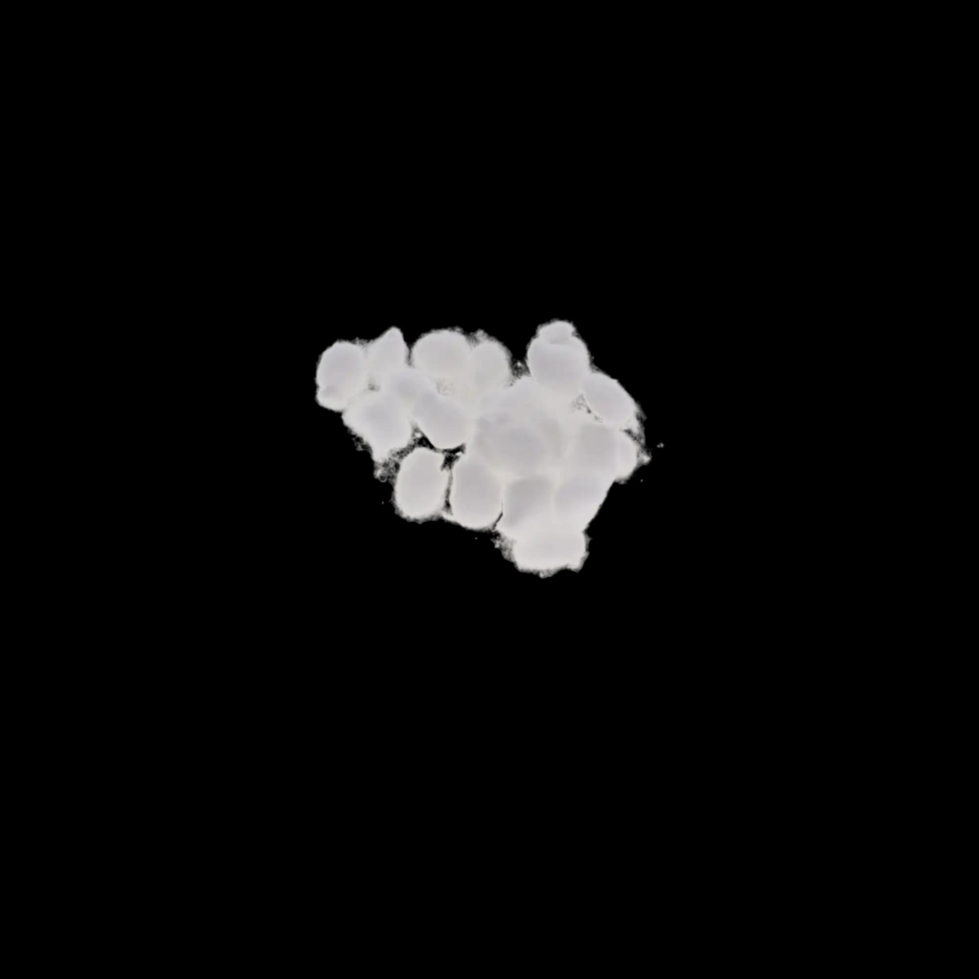 Richmond Cotton Pellets, Size #1, 9/32" Diameter, 2000/Box, 100106 thumbnail 8