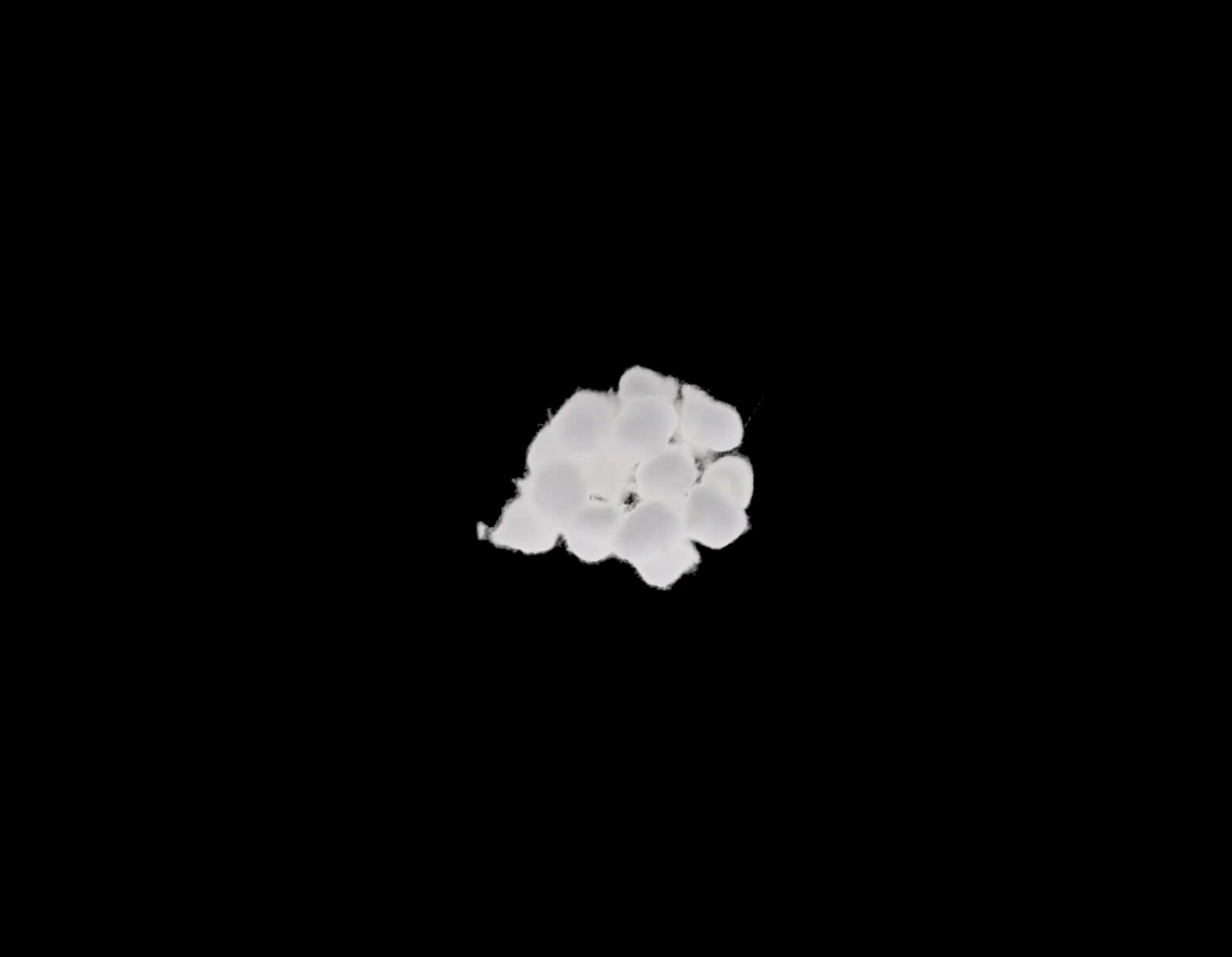 Richmond Dental Cotton Pellets, Size 2, 7/32" Diameter, 100% Cotton, Non-Sterile, 2550/Box, 100107 thumbnail 11