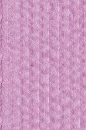 Crosstex Advantage Plus 3-Ply Patient Bibs, 18" x 13", Aqua, 500/Case, WPXAAQ thumbnail 7