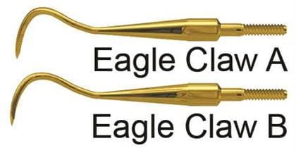 XP² Technology Quik-Tip Scaler Eagle Claw A, American Eagle Instruments, AESECAXPQT thumbnail 7