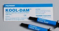 Kool-Dam Light-Cure Heatless Liquid Dam & Block-Out Resin, 3 ml Syringes, Bulk Pack 10/Pk, PDB thumbnail 13