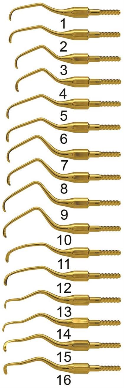 American Eagle Instruments Gracey 6 XP Squared Technology Quik-Tip Curette, Standard Cone Socket, 440A Stainless Steel, AEG6XPQT thumbnail 3