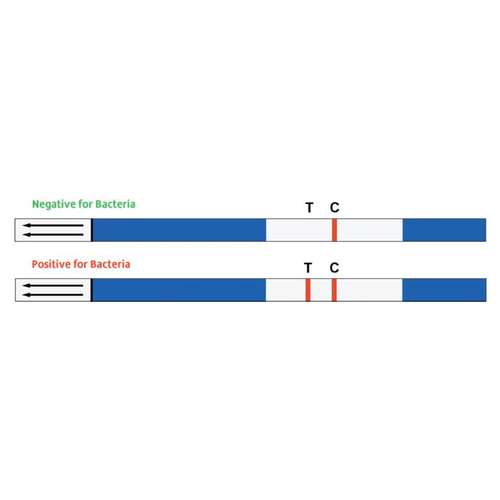 Sterisil FastCheck15 In-Office Dental Waterline Test Strips, 15-Minute, 6/Pk, FC15-6 thumbnail 14