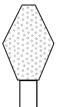 Two Striper Diamond Bur, FG, Barrel, #240, Coarse, Green, 4.8 mm Major/1.2 mm Minor Diameter, 5/Pk, 2015077 thumbnail 7