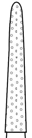 Two Striper Diamond Burs, FG, Flame, 253.10, 1.6 mm Major/1.0 mm Minor Diameter, 10 mm Length, Fine, Red, 5/Pk, 2015091 thumbnail 3