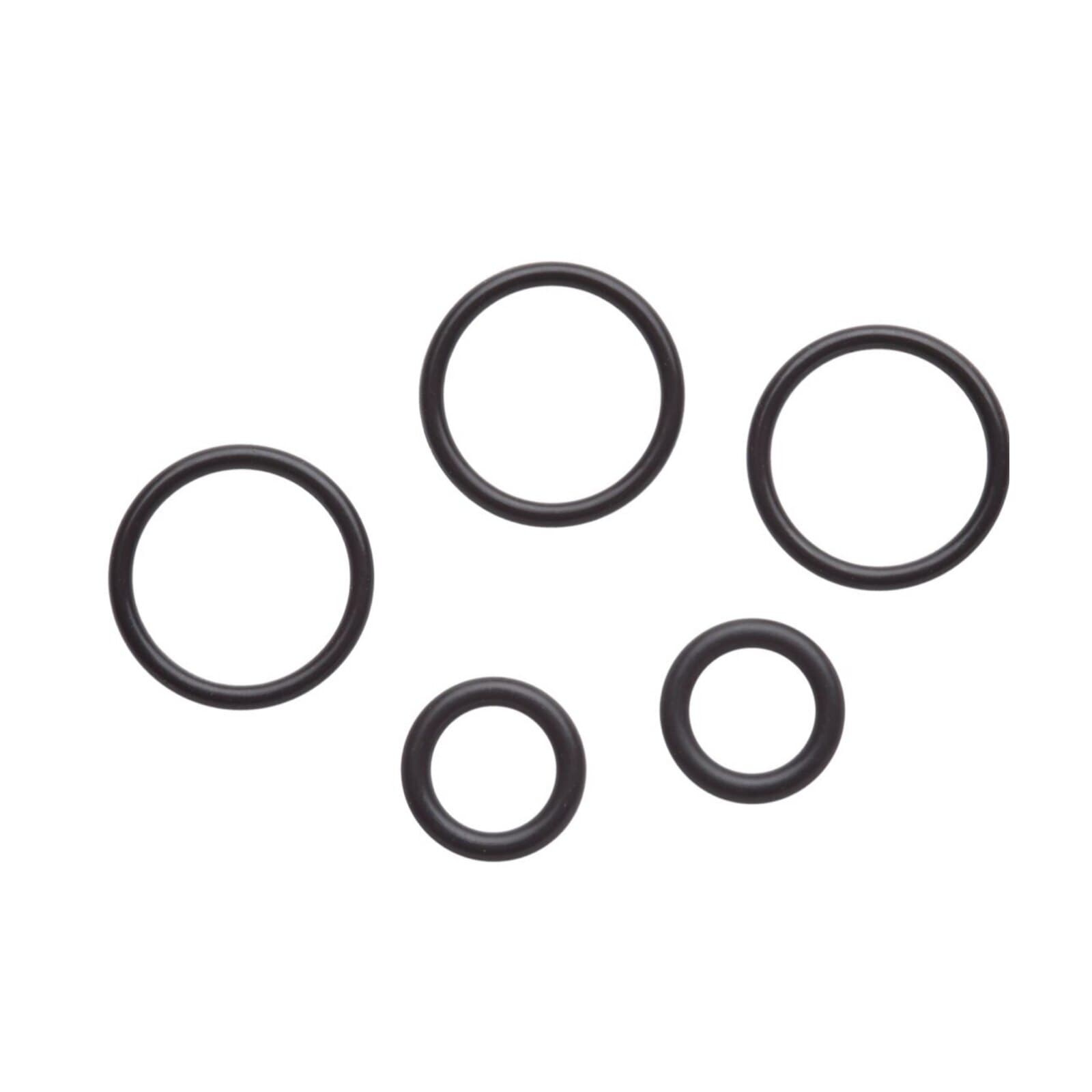 Dentsply Sirona Midwest Replacement O-Rings for 5-Hole Coupler, 2/Pkg, 790255R - Replacement O-Ring 5H Coupler 2/Pk - Image 1