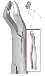 Nordent #210S Upper Universal Third Molar Extraction Forceps, Serrated, Stainless Steel, American Pattern thumbnail 5