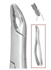 Nordent #150AS Upper Universal Extraction Forceps, Anatomical Beaks, Serrated, Stainless Steel, FE150AS thumbnail 7