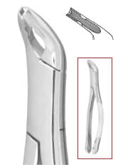 Nordent #151AS Lower Universal Anatomical Extraction Forceps, Serrated, Stainless Steel, 1/Pk thumbnail 6