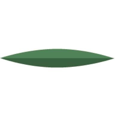 NTI Acrylic Silicone Polishers, Green/Coarse, Knife Edge, Unmounted, 22.0 mm, 6/Pk, PBR03 thumbnail 10