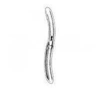 Miltex Hegar Uterine Dilator, 3/4 mm, 7-1/2" Length, Stainless Steel, Autoclavable, Reusable, Each