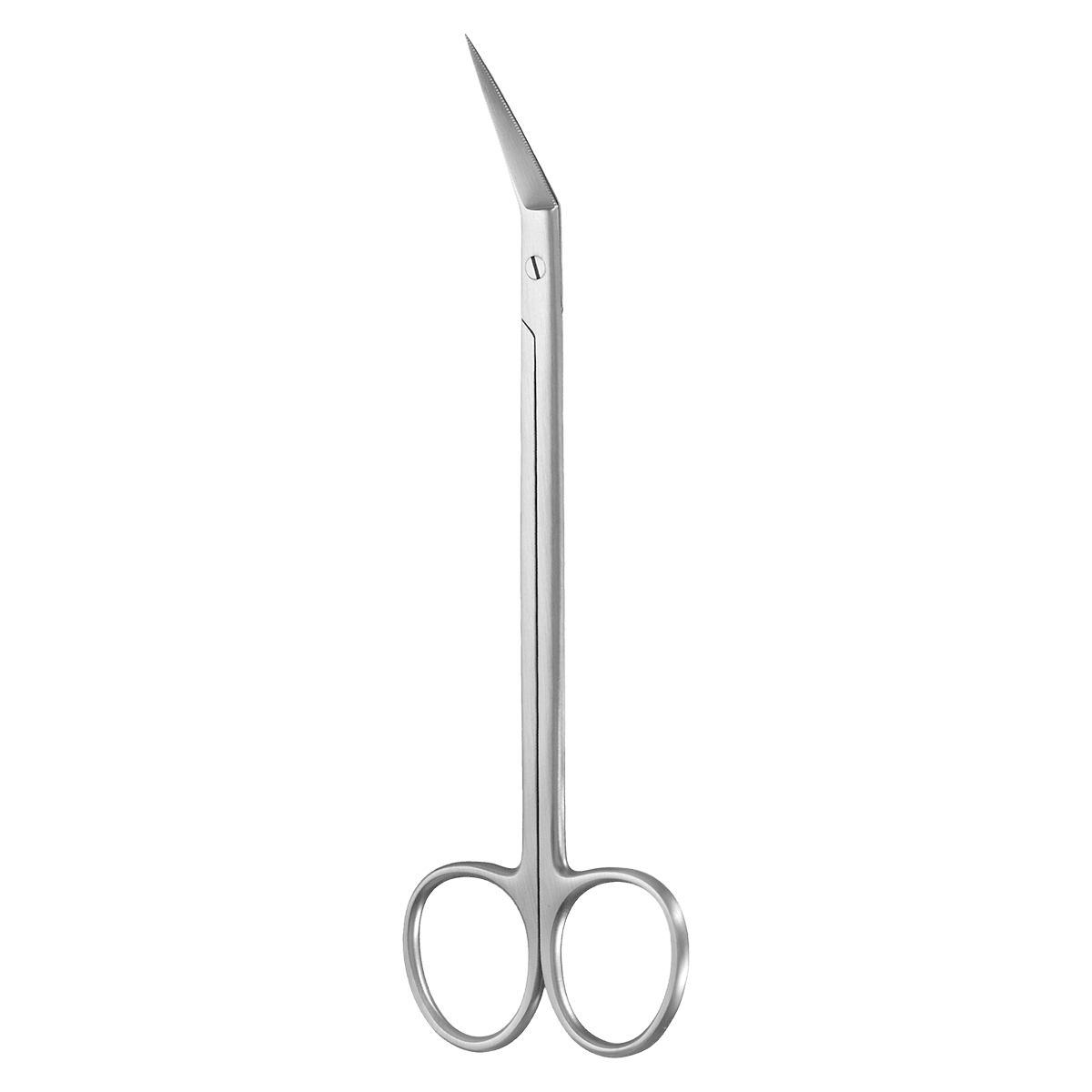 A. Titan Instruments Locklin Oral Surgery Scissors, Closed Handle, Serrated, 6.25 in, 1 Each
