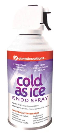 Cold As Ice Endo Spray, Unscented, 10 oz Bottle, 250