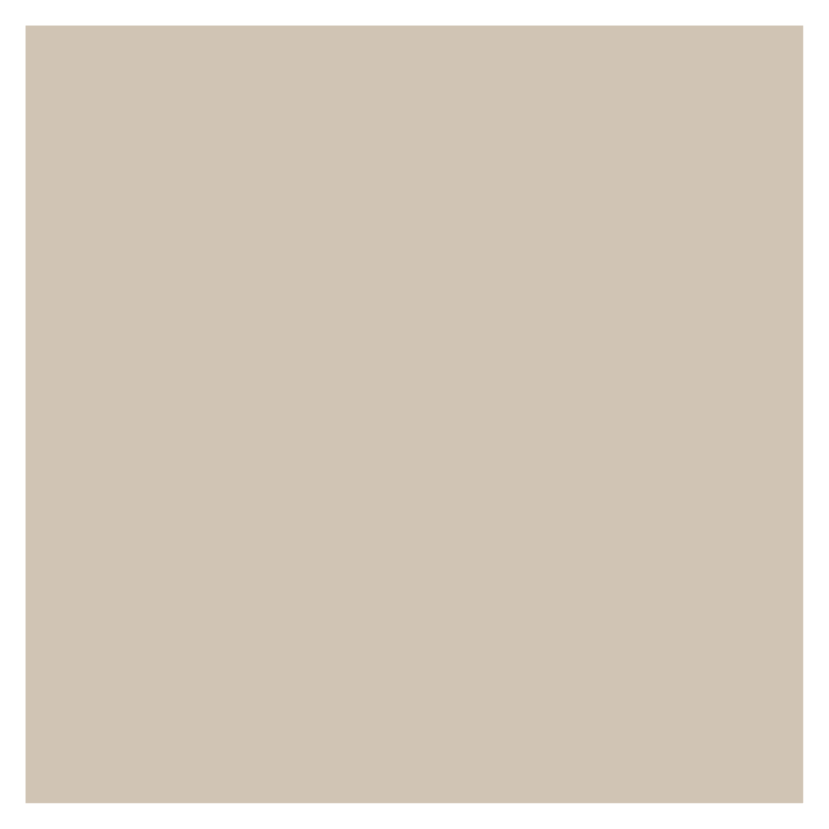 Zirc Dispos-A-Screen Cuspidor Screen, Large Universal, Gray, 2-1/2", 25/Pack, 51Z205S