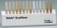 Tetric EvoFlow Shade Guide, 595952WW