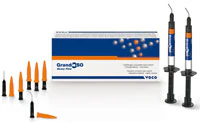 GrandioSO Heavy Flow Flowable Composite, Light-Cure, High Viscosity, Shade A1, 2g Syringe Refill, 2/Pk, 2684