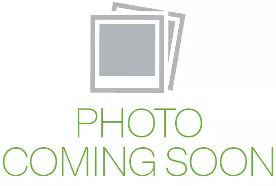 Coltene Elastic Pin, 1300131