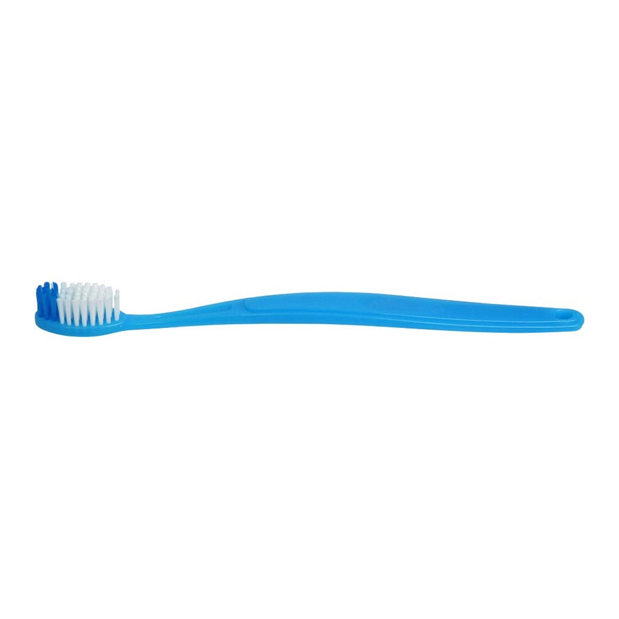 Oraline Adult Discount Toothbrush, 72/Box