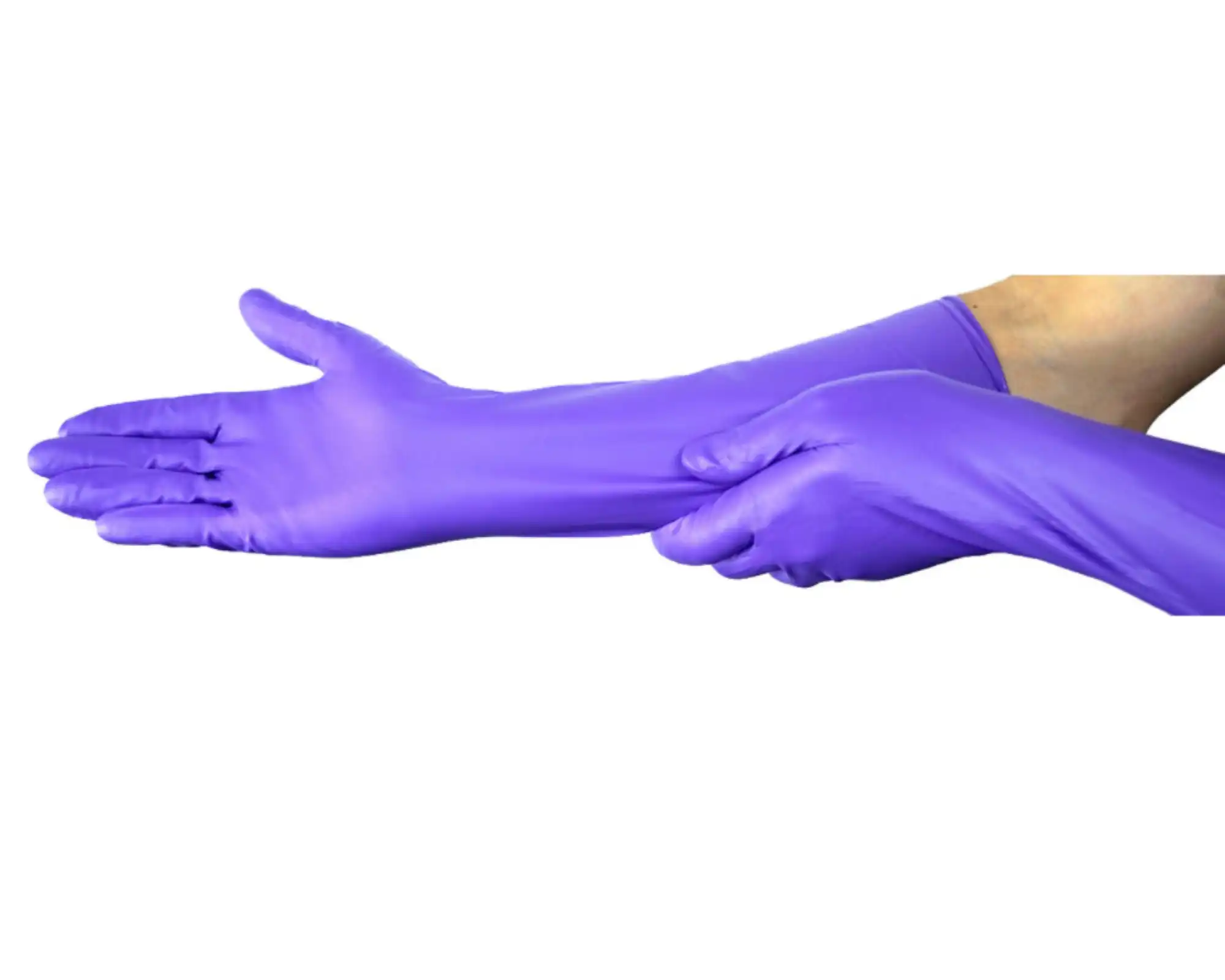 Halyard Purple Nitrile Max Exam Gloves, Powder-Free, Latex-Free, Large, 50/Box, 44994
