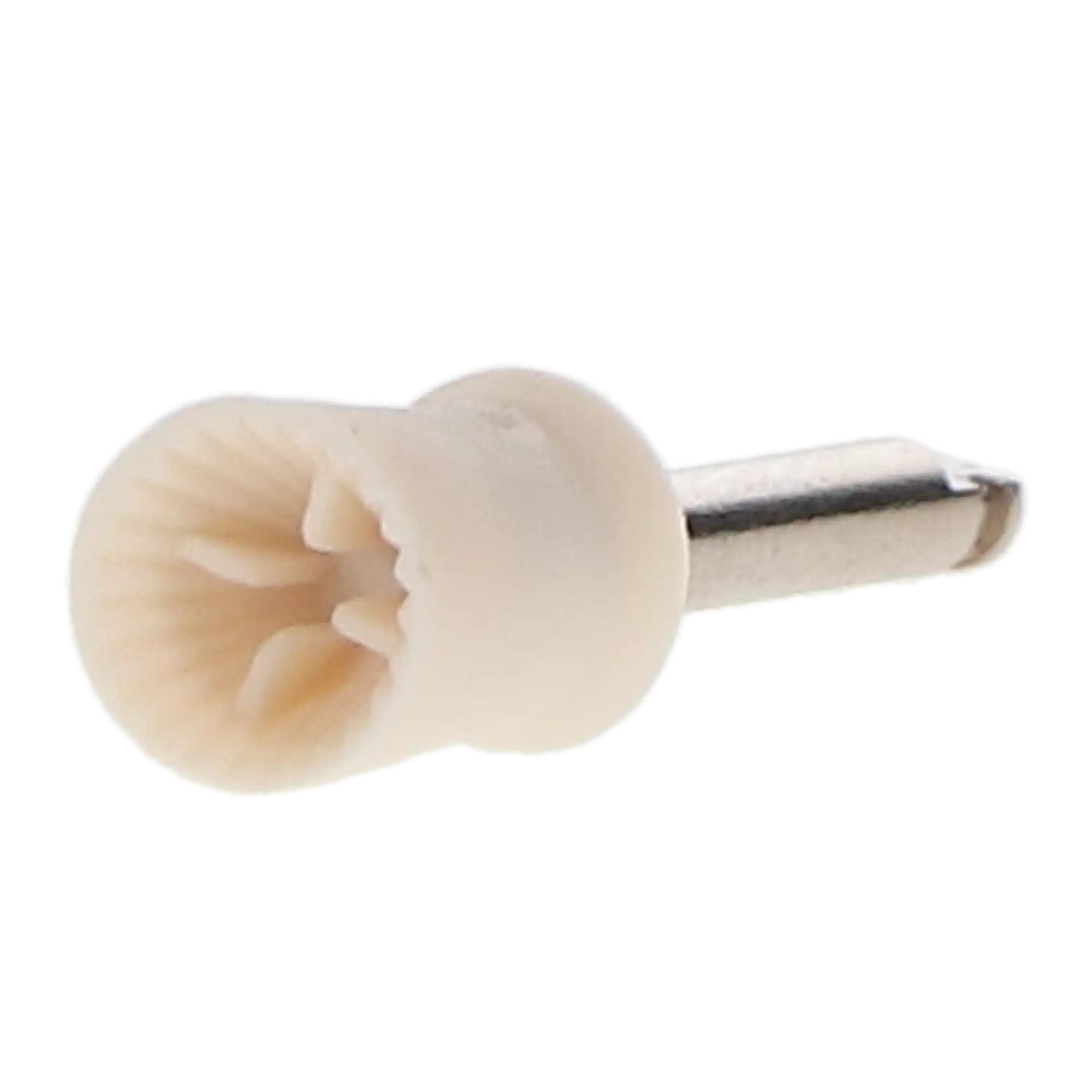 Pac-Dent Disposable Prophy Cups, Latch Type, Firm, White, Latex-Free, 144/Pk, 252W