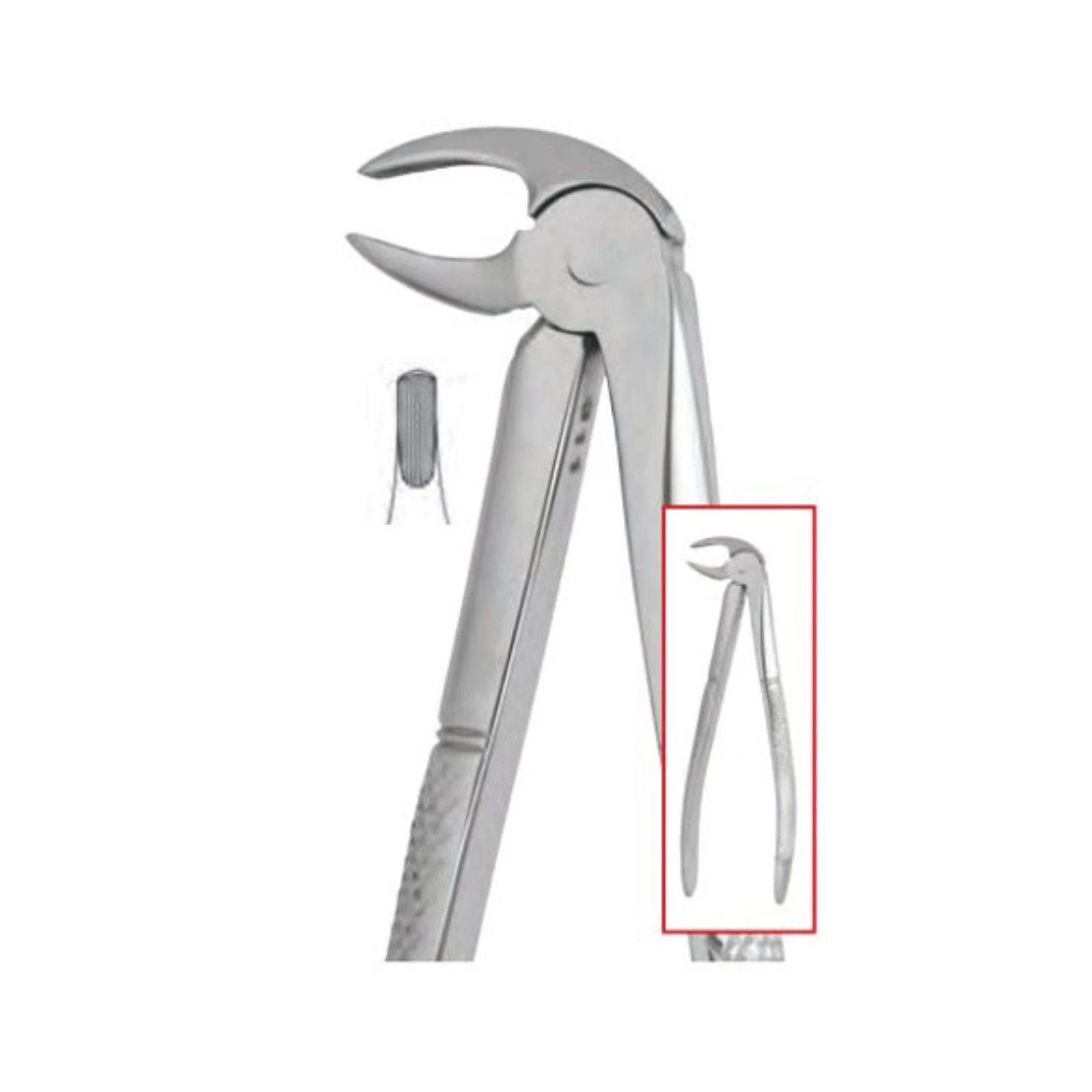 Nordent #13 Extraction Forceps, Lower Bicuspid/Premolar, Universal, English Pattern, Stainless Steel