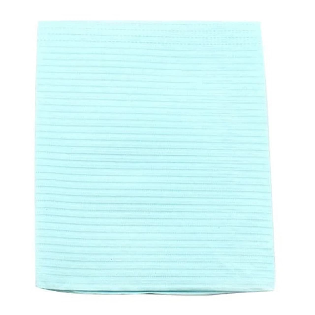 Crosstex Professional Regular Patient Towels, 3-Ply Tissue, 19" x 13", Blue, 500/Case, WTXBL - Professional Regular Patient Towels - Image 1