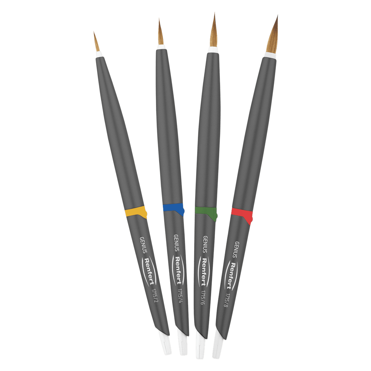 Renfert Genius Porcelain Brush Set, Natural Bristle, Sizes 2, 4, 6, 8, 4 Brushes per Set - Genius Porcelain Brush Set - Genius Natural Bristle Porcelain Brush Set - Image 1