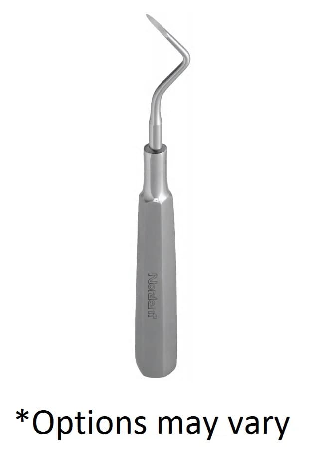 Nordent 3 Heinbrink Elevator, Right, Serrated, Single End, Stainless Steel, Each - 3 Heinbrink Elevator - Image 1